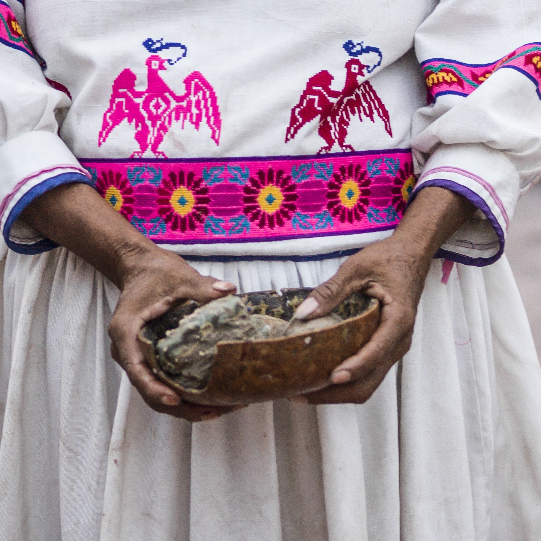 Hikuri (peyote)